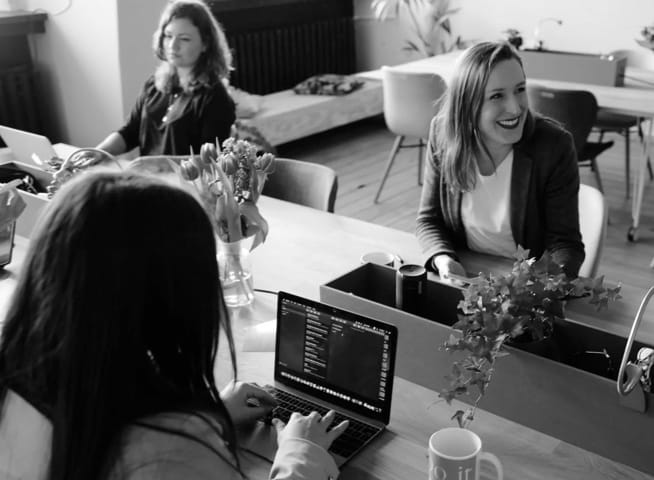 A group of young people in an office working pleasantly with their laptops.